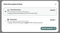 Cature d'ércan du choix d'une option d'achat papier ou numérique pour une revue Cairn