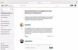 Capture d'écran de la maquette temporaire de SophIA